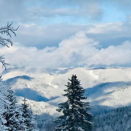 Apartmán Schwarzwald Nescht Triberg Triberg im Schwarzwald Exteriér fotografie