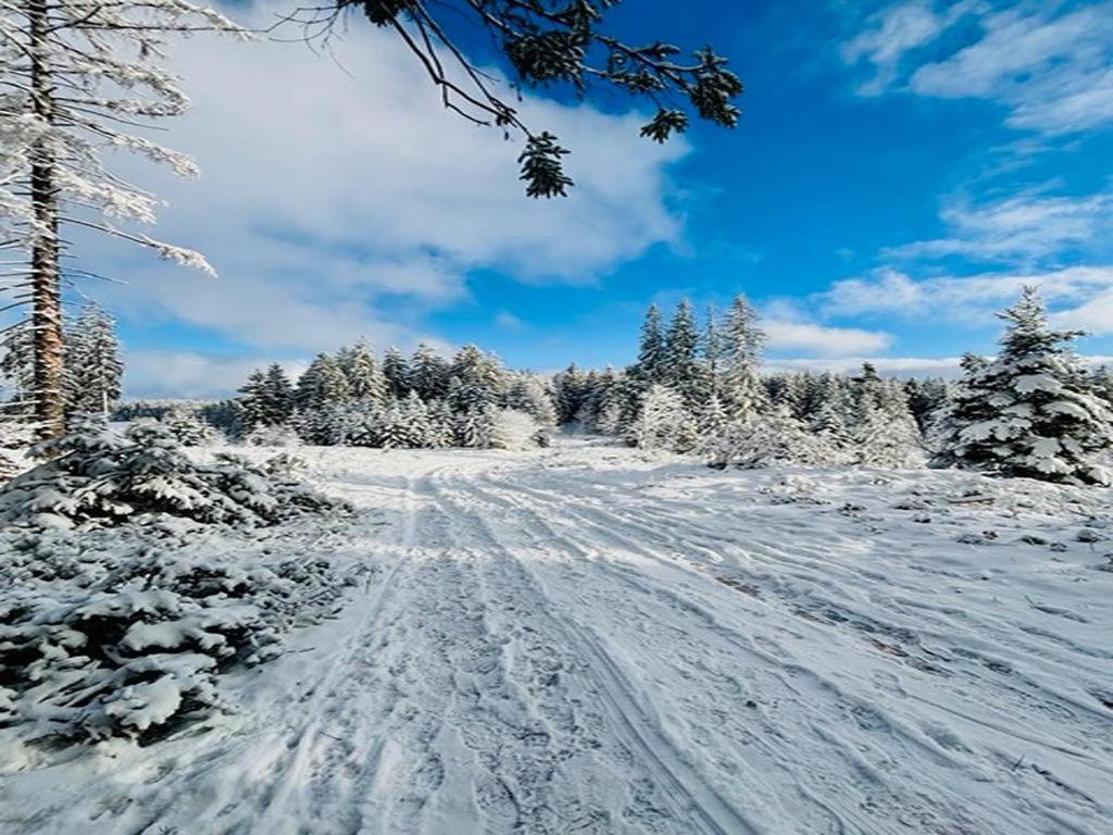 Apartmán Schwarzwald Nescht Triberg Triberg im Schwarzwald Exteriér fotografie