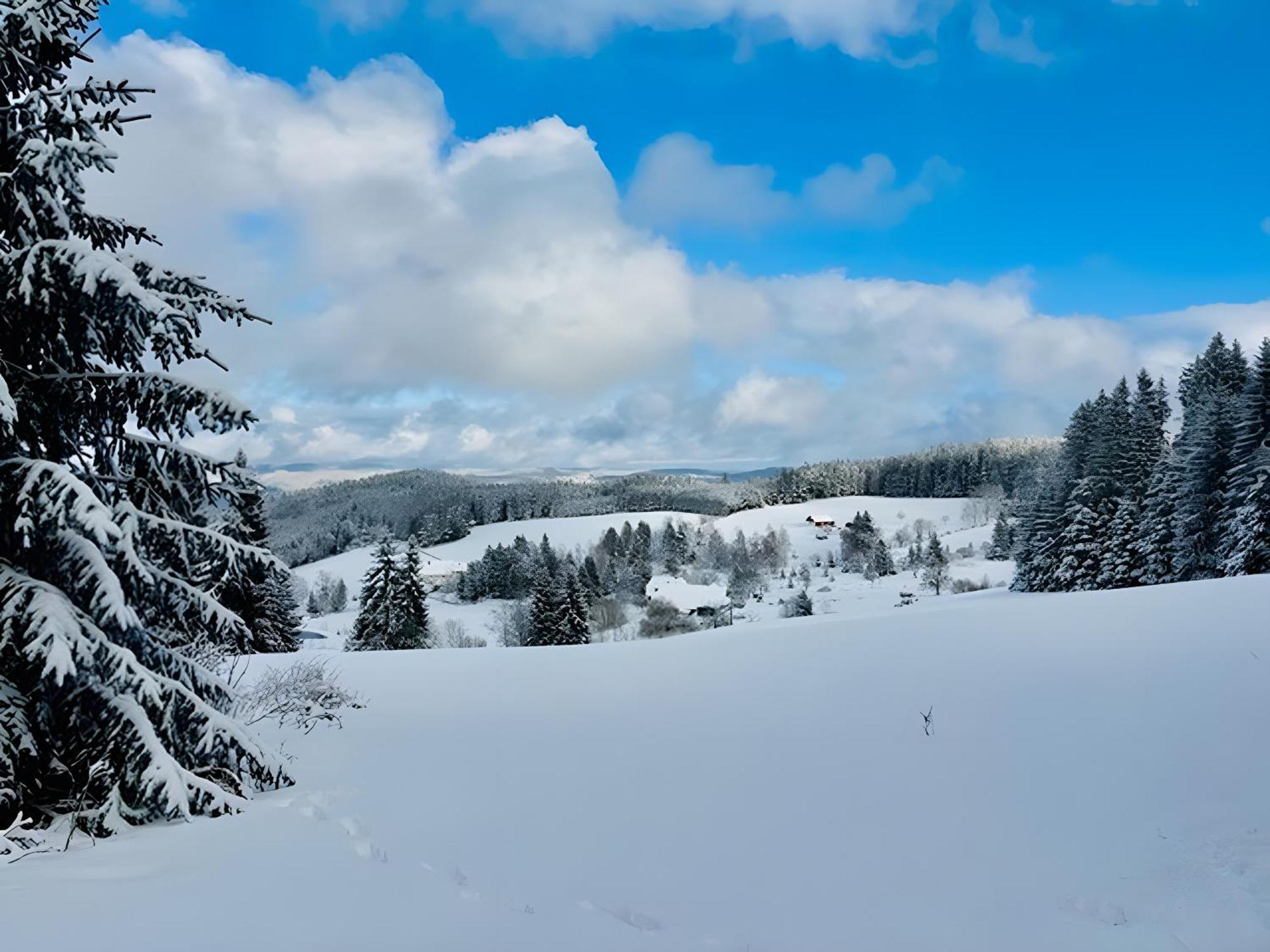 Apartmán Schwarzwald Nescht Triberg Triberg im Schwarzwald Exteriér fotografie