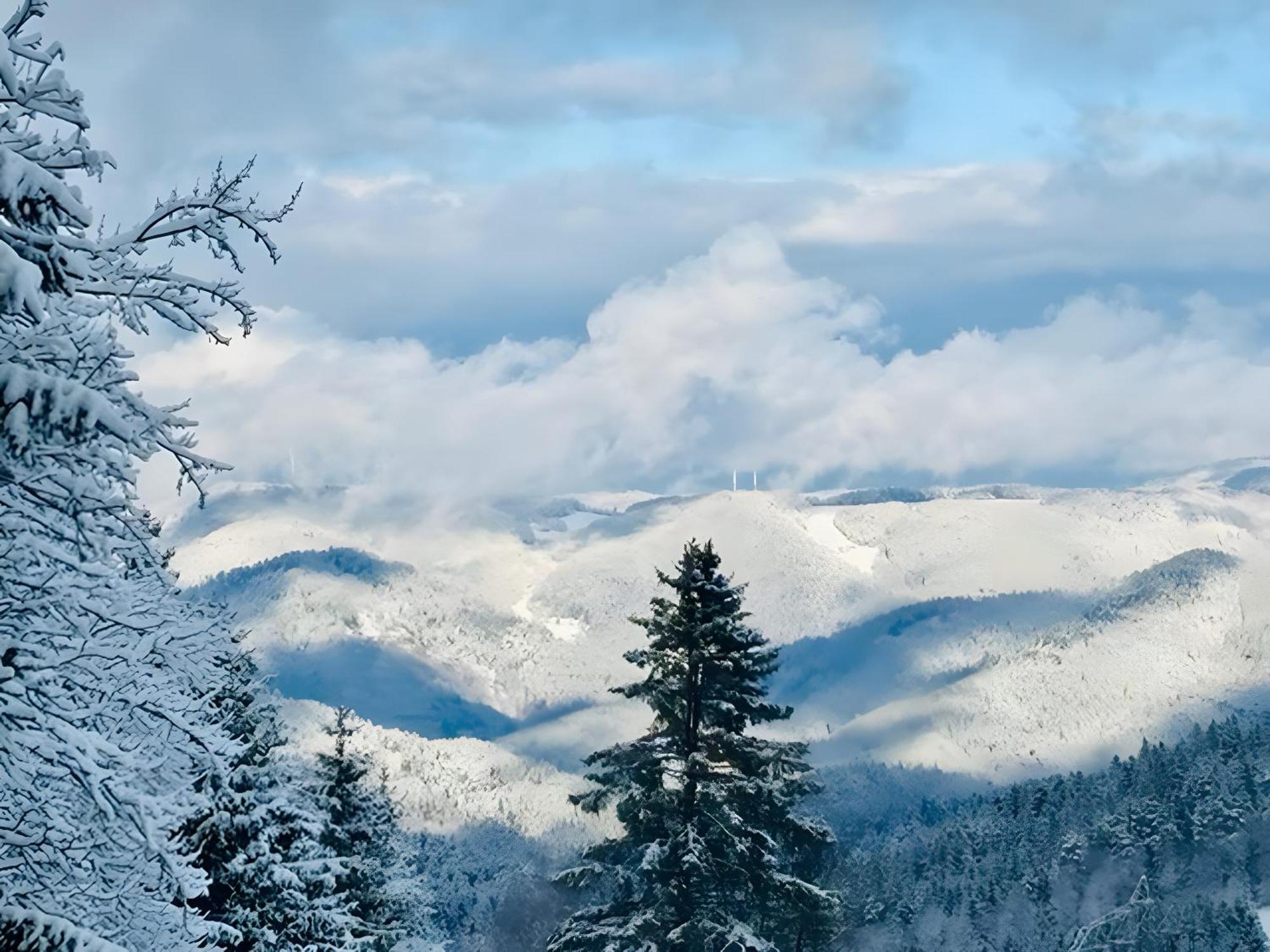Apartmán Schwarzwald Nescht Triberg Triberg im Schwarzwald Exteriér fotografie